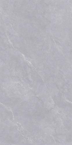 CY6715Y307L科罗拉_03_new