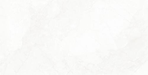 CG15W615新寒江雪