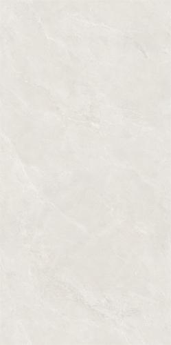 CC612Z02科罗拉_04